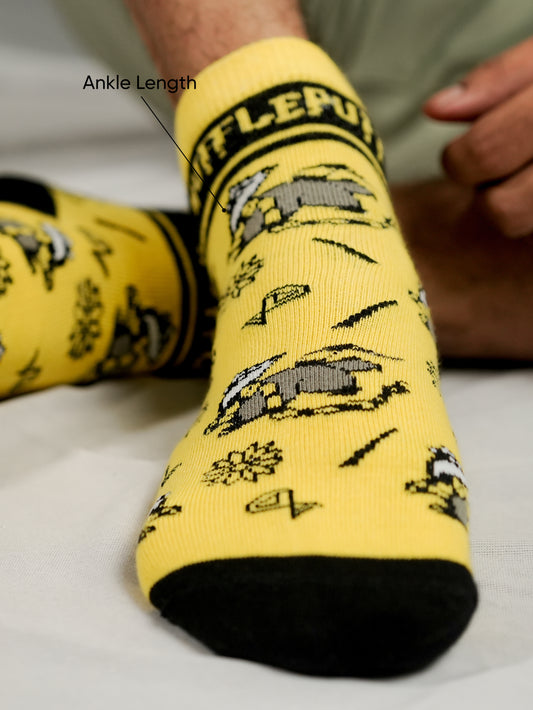 Harry Potter: 4 House Combo