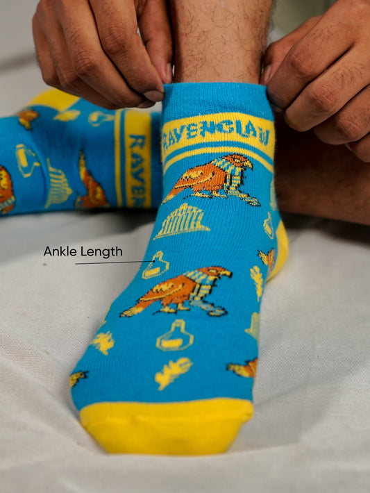 Harry Potter: Slytherin & Ravenclaw Combo