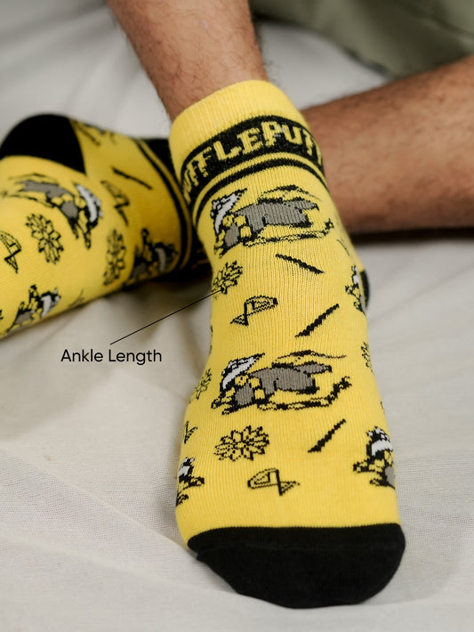 Harry Potter: Gryffindor & Hufflepuff Combo