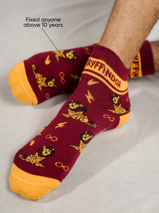 Harry Potter: Gryffindor & Hufflepuff Combo