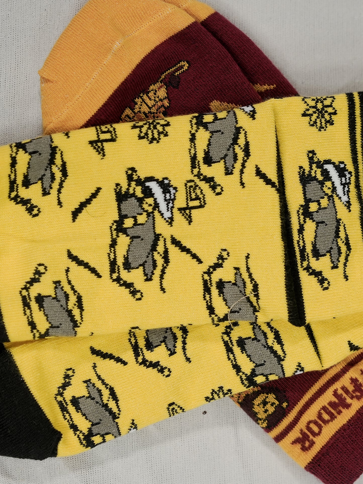 Harry Potter: Gryffindor & Hufflepuff Combo